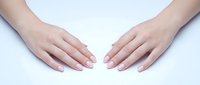 Female hands with natural manicure positioned symmetrically on white background. Clean, elegant gesture showing palm care and beauty routine.