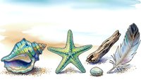 Watercolor seashells starfish feather and stones on sandy beach with soft sky background for coastal decor and summer vacation designs.
