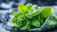 Fresh green mint leaves with water drops on dark background, macro shot showing detailed texture and natural moisture for culinary and beverage use.