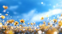 Yellow wildflowers in meadow against bright blue sky with bokeh effect and sunlight creating dreamy summer atmosphere, low angle view of flowering field.