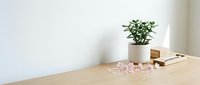 Minimalist wooden desk with green potted plant, scattered pink petals, and stacked books creating serene workspace atmosphere for productivity and wellness.