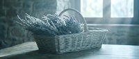 Dried lavender bouquet in a white wicker basket on a rustic wooden table, soft natural light from a window, calm Provence style.