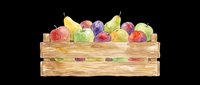 Watercolor wooden crate filled with fresh fruits, isolated on transparent background. Great for stickers, print on demand, sublimation, T-shirt design, and clipart.