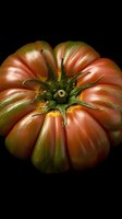 Fresh heirloom tomato with deep ridges and natural color variations from red to green, photographed from above on black background showing detailed stem structure.