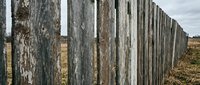 Weathered wooden fence posts stretching across rural landscape with peeling paint and rustic texture for countryside and agricultural themes.