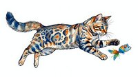 Playful tabby cat with spotted coat pouncing on small colorful fish toy, isolated on white background for design and print use.