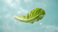 Fresh romaine lettuce leaf with water droplets floating against soft blue sky background, suitable for healthy eating, nutrition, and organic food marketing materials.