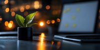 Small green plant in black pot on desk with laptop and blurred bokeh lights in background creating cozy evening workspace atmosphere.