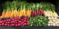 Fresh organic root vegetables arranged in rows including vibrant carrots, radishes, parsnips and turnips with green leafy tops on dark display surface for farmers market.
