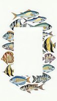 Colorful tropical fish arranged in oval frame with blank white space for text on light background, marine life border design for aquarium themes.