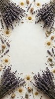 Dried lavender bundles and chamomile flowers arranged in decorative frame border on white textured background for natural spa wellness aromatherapy design.