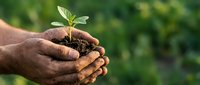Hands holding young seedling with soil against blurred green background, representing growth, environmental care, and sustainable agriculture practices.