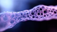 Macro photography of purple and blue soap bubbles forming abstract organic structure with bokeh effect and dark background, suitable for scientific visualization.