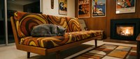Retro living room with mid-century modern sofa featuring bold geometric patterns, gray cat resting on cushions, vintage jazz posters on walls, fireplace with warm glow, and patterned area rug for home decor and interior design inspiration.