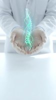 Doctor hands holding glowing green spine hologram representing spinal health care, orthopedic treatment and medical technology innovation.