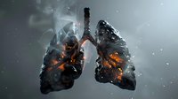 Diseased lungs with fire and smoke effects showing internal damage and inflammation from smoking or pollution exposure.