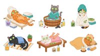 Cute cats relaxing in spa settings with bath products, towels, and wellness items. Isolated cartoon illustrations suitable for wellness, pet care, and lifestyle design projects.