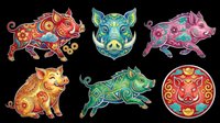 Six colorful ornate Chinese zodiac boar characters with floral patterns, isolated on transparent background, ready for stickers, t-shirt design, and print on demand.