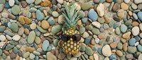 Funny pineapple wearing sunglasses lying on colorful pebble stones beach, summer vacation and tropical fun concept.