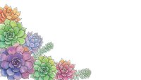 Watercolor succulent plants frame border on white background with copy space for text and design projects.