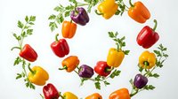 Fresh colorful bell peppers and parsley herbs arranged in circular pattern on white background for healthy cooking and nutrition concepts.