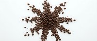 Roasted coffee beans arranged in a starburst pattern on white background, suitable for beverage packaging, cafe branding, and coffee product marketing.