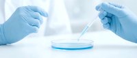 Scientist in blue latex gloves conducting laboratory experiment with pipette and petri dish containing blue liquid solution for research and testing.