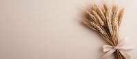 Dried wheat stalks tied with delicate pink bow on beige background, minimalist agricultural composition with copy space for farm product design.