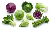 Fresh assorted cabbage varieties including red, green, savoy, napa, bok choy and Brussels sprouts isolated on white background for healthy cooking designs.