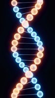 Glowing neon spheres connected by luminous lines form a DNA double helix structure against dark background. Warm orange and cool blue orbs create striking contrast for science and biotechnology concepts.