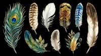 Feather collection featuring peacock, eagle, owl, and decorative plumage in watercolor style, isolated on transparent background. Ready for t-shirt designs, clipart, stickers, sublimation, and print-on-demand projects.