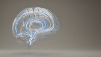 Transparent glass brain model with glowing blue neural pathways on neutral background for medical education and neuroscience presentations.