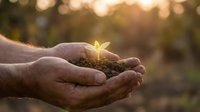 Hands holding soil with glowing seedling sprout, symbolizing growth, environmental care, and sustainable development for eco-friendly concepts.