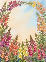 Watercolor snapdragon floral frame with pink, yellow, and orange blooms forming an arch over a soft pastel sky background with copy space.