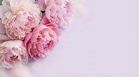 Soft pink peonies arranged on a pastel lavender background with copy space, evoking romance and elegance for cards and decor.