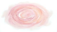 Soft pink watercolor spiral swirl on white background, abstract artistic brush stroke design for creative projects and decorative applications.