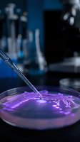 Laboratory pipette dispensing purple liquid into petri dish for scientific research and medical testing in modern lab environment.