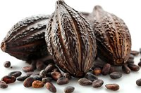 Fresh cocoa pods and raw cacao beans on white background, perfect for chocolate making, food industry, and natural ingredients advertising. Macro shot shows rich texture and details.
