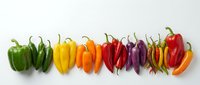 Assorted fresh bell peppers in green, yellow, orange, red, and purple arranged in a row on white background for culinary and food styling projects.