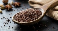 Coriander seeds in wooden spoon with burlap sack and star anise on dark surface. Aromatic spices for cooking, seasoning and culinary preparations.