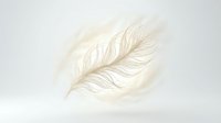 Elegant white feathers floating gracefully with soft golden glow against clean minimalist background for luxury design projects and peaceful concepts.