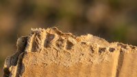 Rough textured brown rope fibers with frayed edges against blurred natural background. Close-up macro photography showing organic hemp or jute material details.