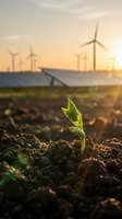 Green plant seedling growing from soil with solar panels and wind turbines in background at sunset representing sustainable energy and environmental growth.