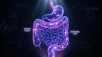 Neon glowing digestive system with stomach and intestines highlighted in purple and blue light, showing microbiome flora and nutrient absorption for medical education and healthcare presentations.