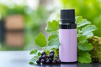 Natural blackcurrant essential oil bottle with fresh berries and green leaves on wooden surface for aromatherapy and wellness applications.