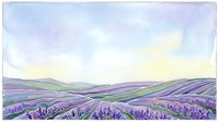 Lavender field landscape with rolling hills and soft watercolor sky, suitable for backgrounds, wall art, and nature-themed designs.