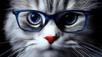 Close up portrait of fluffy gray cat wearing blue glasses with bright blue eyes and red nose against dark background, artistic pet photography.