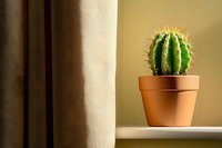 Small round barrel cactus with prominent spines in terracotta pot on windowsill against beige curtain background, minimalist home decor composition.