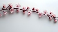 Delicate pink cherry blossom branch curves gracefully against white background, featuring soft petals and brown stems in minimalist spring composition.