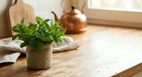 Fresh green mint plant in rustic pot on wooden kitchen counter with copper kettle and cutting boards creating cozy cooking atmosphere for culinary herbs.